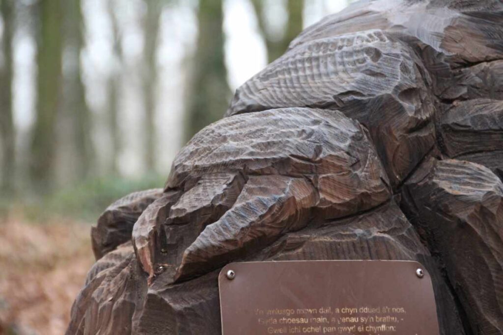 Wooden sculpture of a beetle