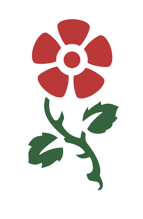Illustration of a rose